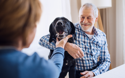 The Value of Pet Care for Seniors Companionship and Comfort